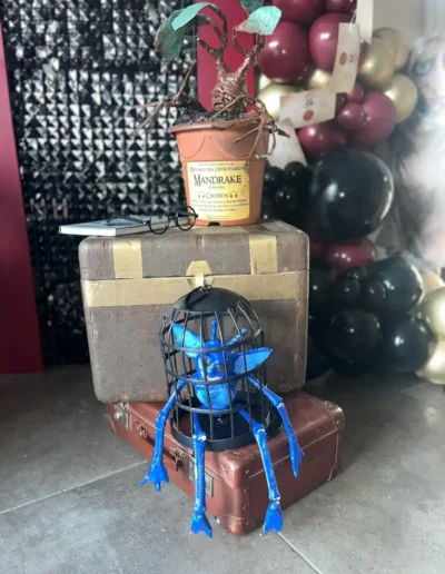 harry potter props including a stack of suitcase with a mandrake plant and cornish pixie sat on the cases