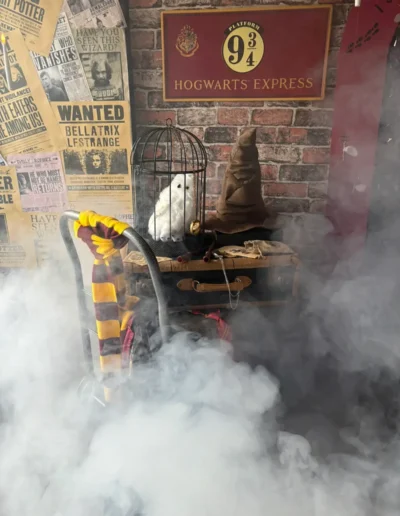 Harry Potter party scene with Hogwarts Express sign, Hedwig owl prop, sorting hat and magical fog effects.